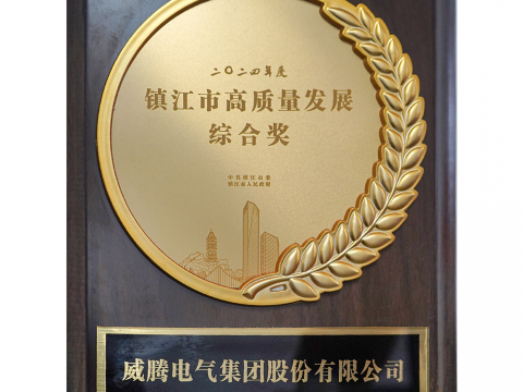 喜讯│新金宝集团官网电气集团股份有限公司荣获2024年度镇江市高质量发展综合奖