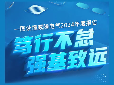 一图读懂新金宝集团官网电气2024年度报告